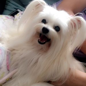 Meet your Posher, Sally